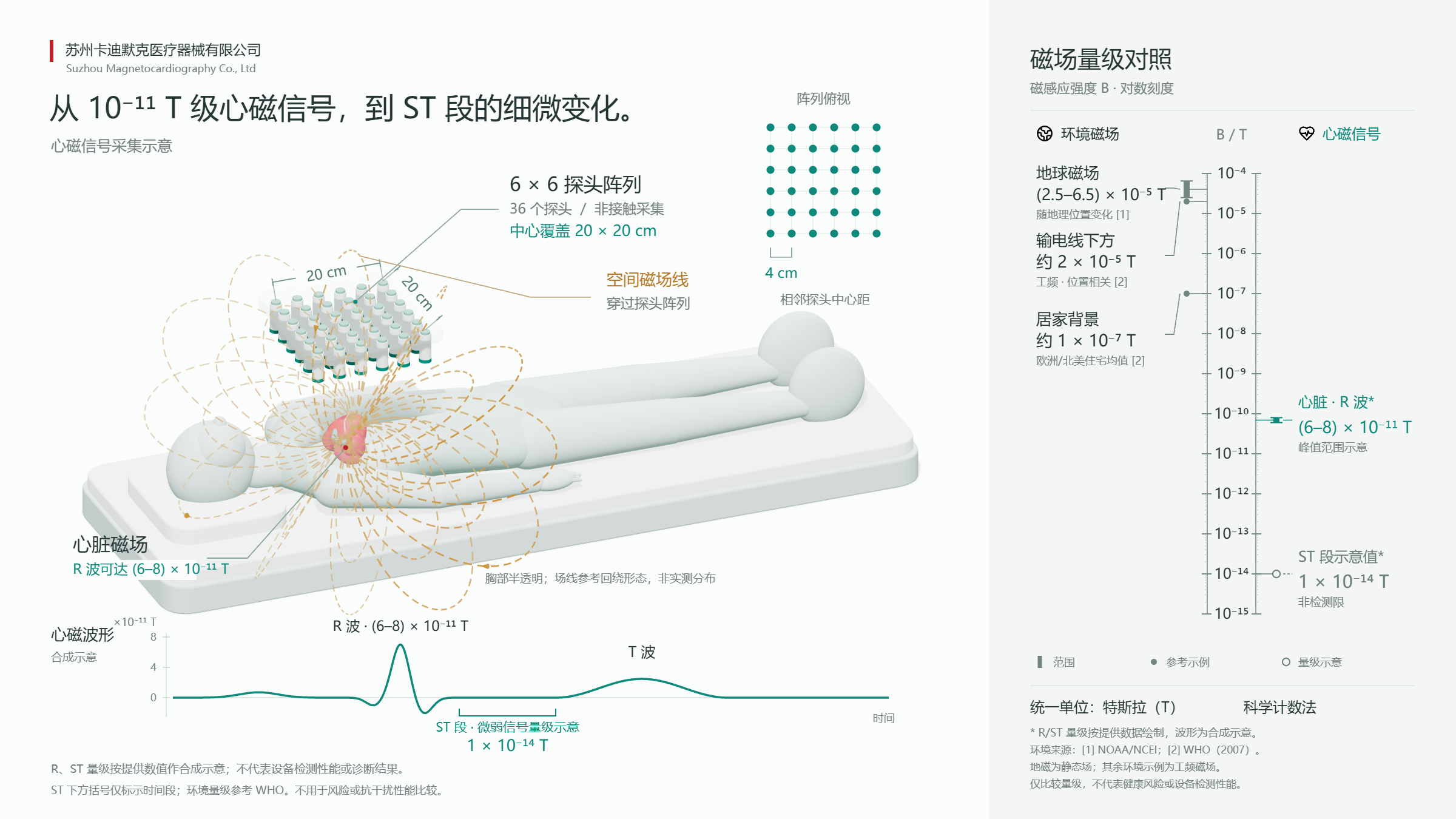 胸前探头阵列与非接触采集位置局部,保留原图尺寸及空间场线标注